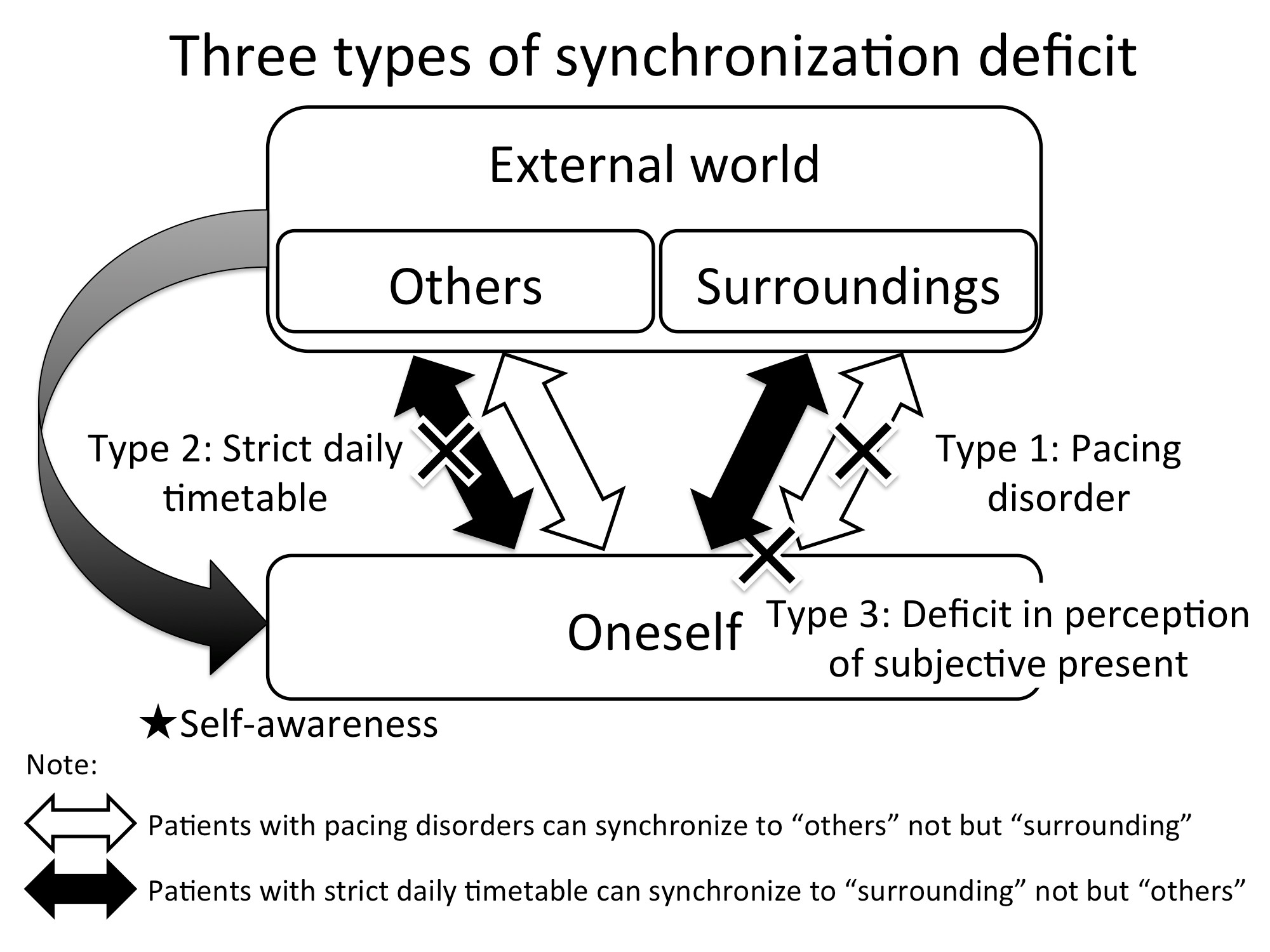 Neuropsychological approach to the study of synchronization phenomena